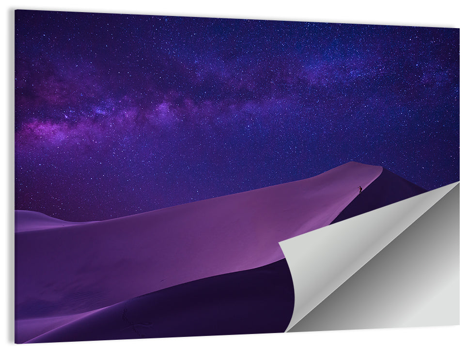 Desert Night & Milky Way Wall Art