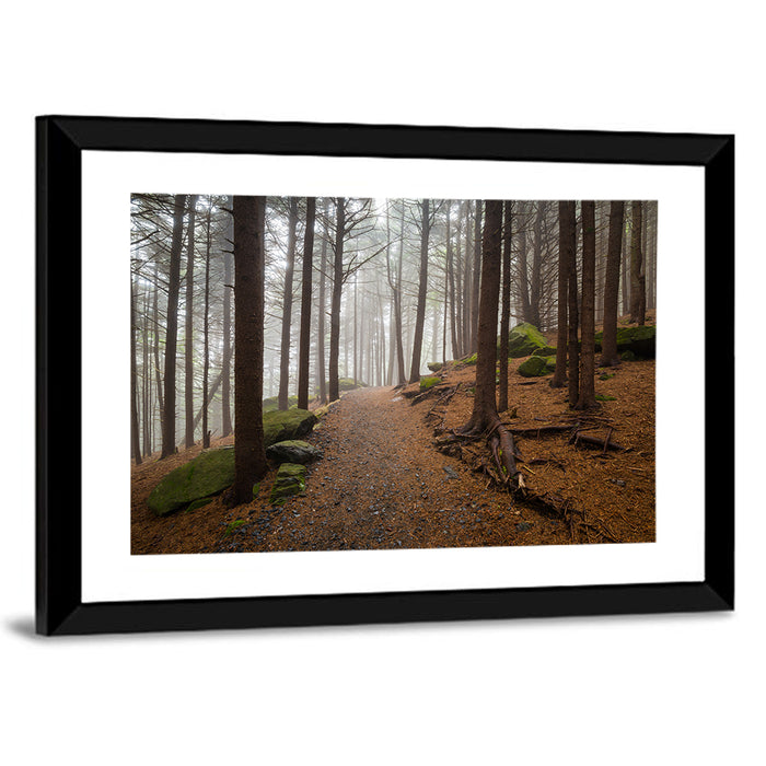 Misty Appalachian Trail Path Wall Art as a framed print