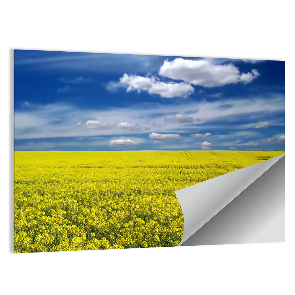 Canola Field Wall Art