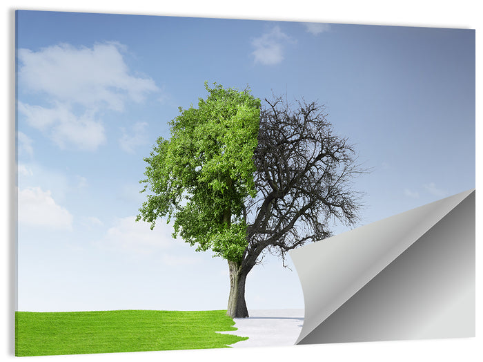 Split Seasons Tree Wall Art as a poster print