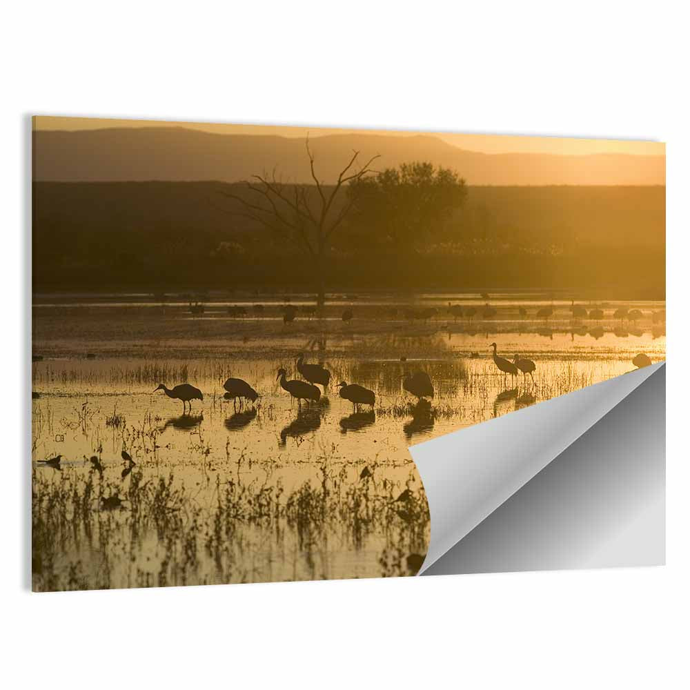 Sandhill Cranes On Lake Wall Art