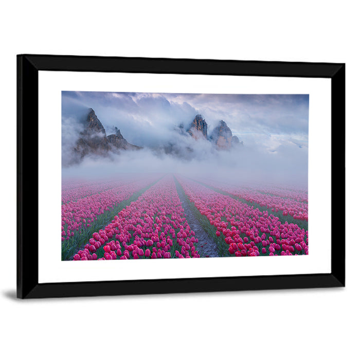 Misty Pink Tulip Field Wall Art as a framed print