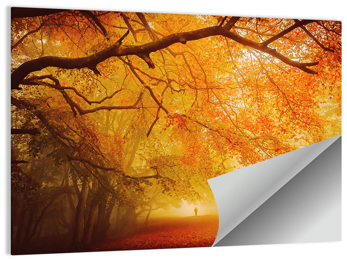 Autumn Forest Path with Lone Figure Wall Art as a poster print