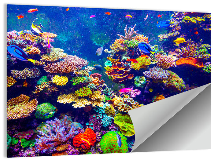 Tropical Coral Reef Aquarium Wall Art as a poster print