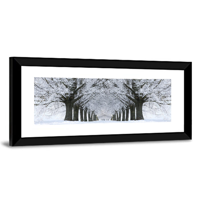 Snow-covered Tree Alley Wall Art as a framed print
