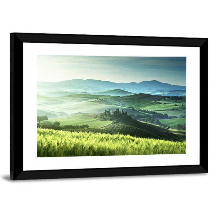 Misty Rolling Hills with Cypresses Wall Art as a framed print