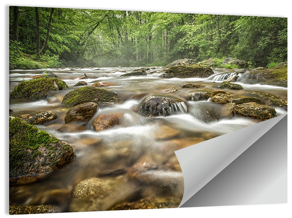 Forest Creek North Carolina Wall Art