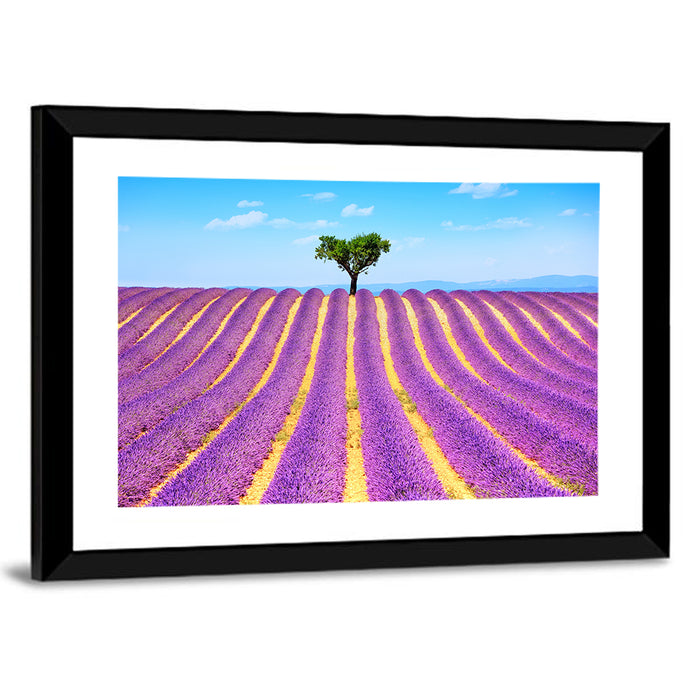 Lavender Field Wall Art as a framed print