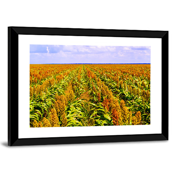 Sorghum Field Wall Art as a framed print