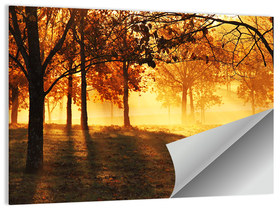 Foggy Autumn Wall Art