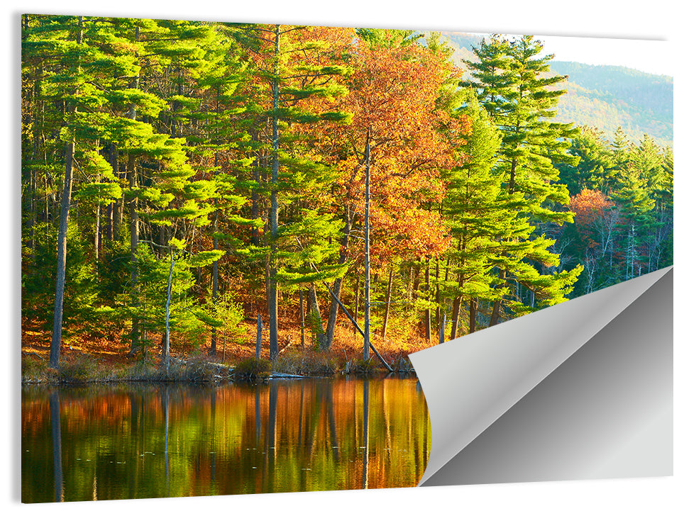 White Mountain National Forest I Wall Art