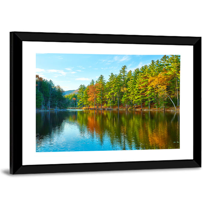 White Mountain Forest Reflections Wall Art as a framed print