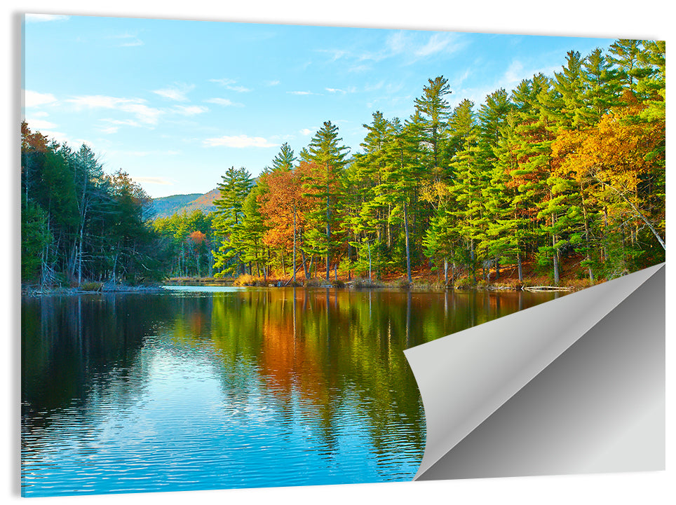 White Mountain National Forest II Wall Art