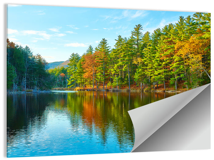 White Mountain Forest Reflections Wall Art as a poster print