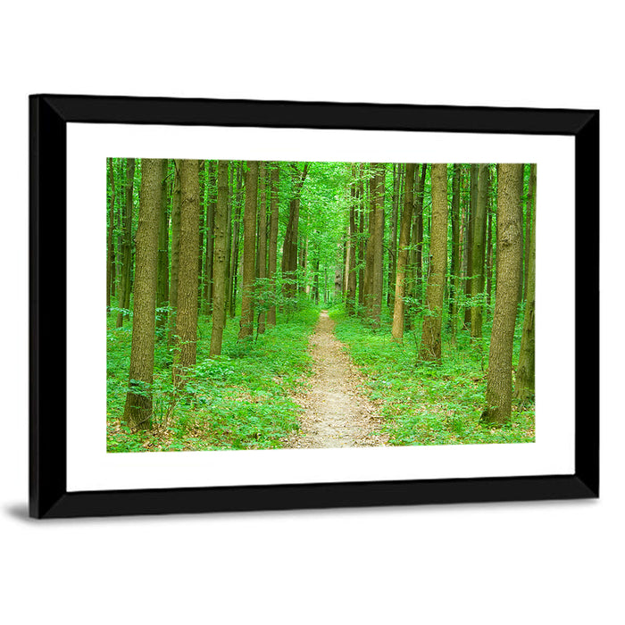 Green Forest Pathway Wall Art as a framed print