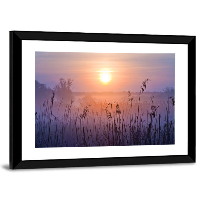 Lavender Sunrise Over Reeds Wall Art as a framed print