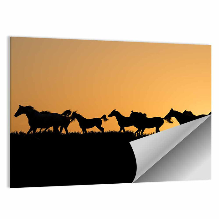 Arabian Horse Silhouettes at Sunset Wall Art as a poster print