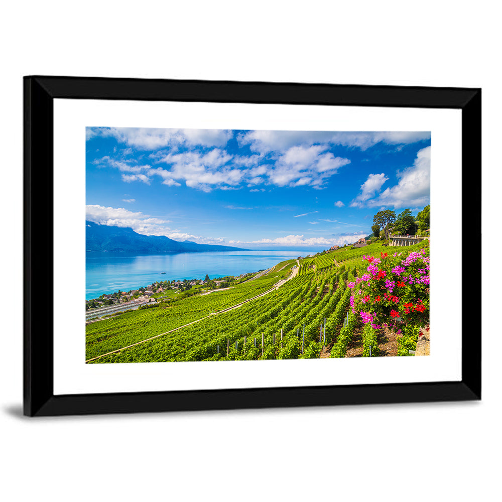 Lavaux Wine Region Wall Art
