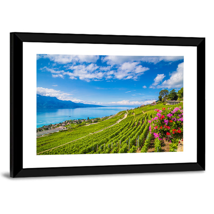 Lavaux Wine Region Wall Art as a framed print