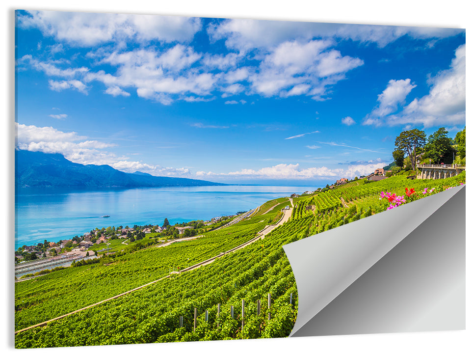Lavaux Wine Region Wall Art