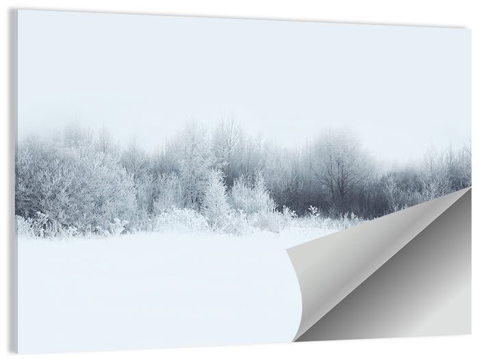 Frosted Winter Forest Wall Art as a poster print