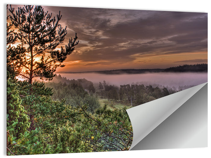 Misty Swedish Pine Valley Wall Art as a poster print
