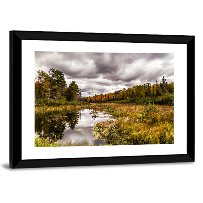 Michigan Autumn Marsh Wall Art as a framed print
