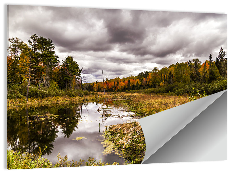 Michigan Fall Season Wall Art