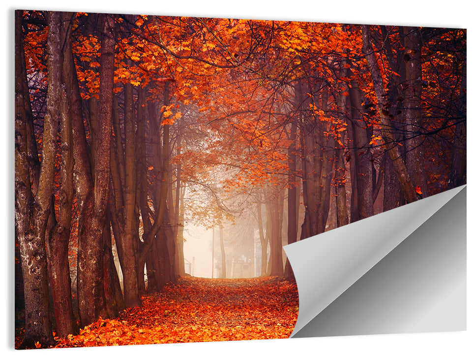 Hazy Autumn Forest Wall Art