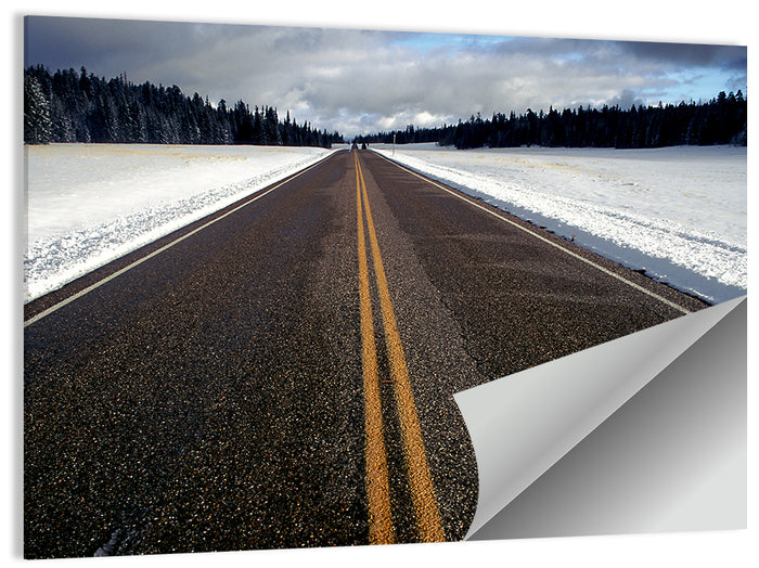 Winter Road Through Pine Forest Wall Art as a poster print