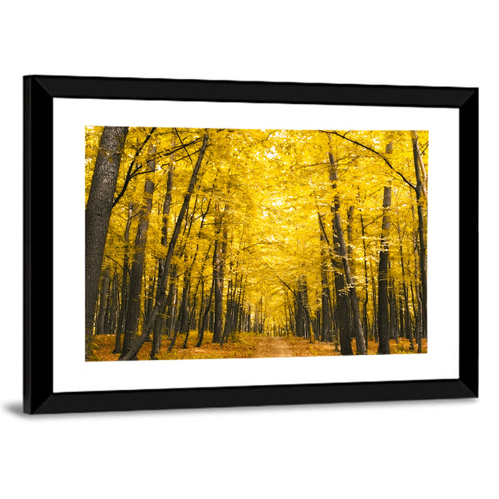 Yellow Autumn Forest Path Wall Art as a framed print
