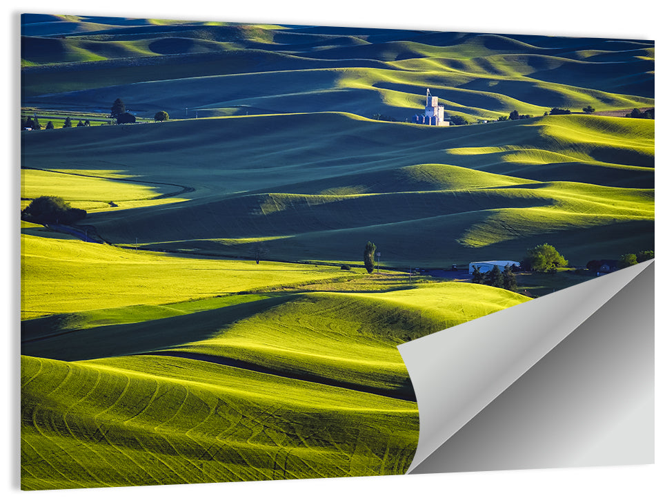 Palouse Rolling Hills Wall Art