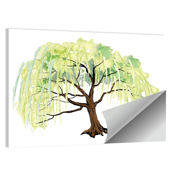 Weeping Willow Watercolor Sketch Wall Art as a poster print