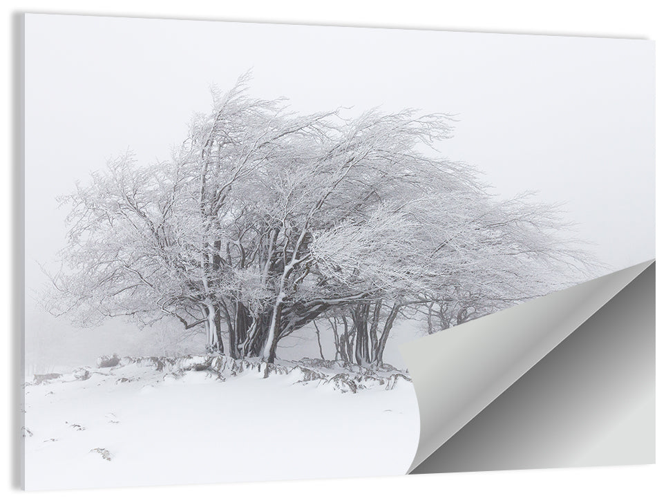 Snowy Winter Trees Wall Art