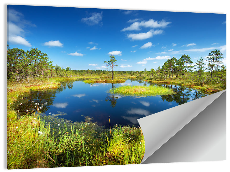 Viru Bogs Wall Art