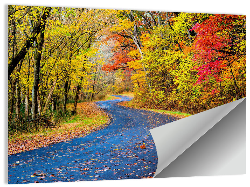 Wet Autumn Road Wall Art