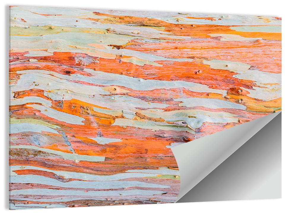 Eucalyptus Tree Abstract Wall Art
