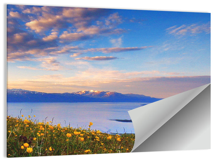 Abisko National Park Sunrise Wall Art as a poster print