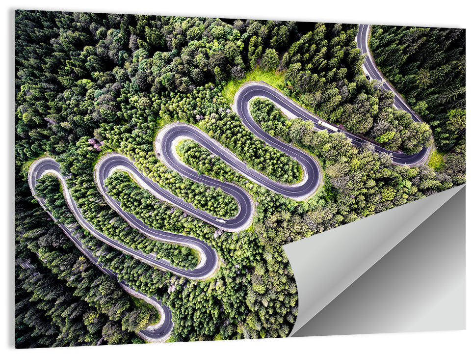 Curvy Road Wall Art