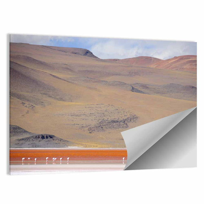 Flamingos at Laguna Colorada Wall Art as a poster print