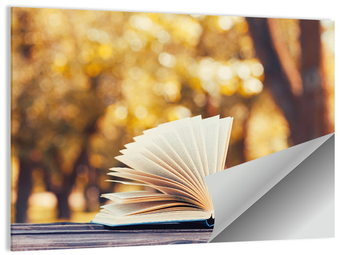 Open Book in Golden Autumn Light Wall Art as a poster print