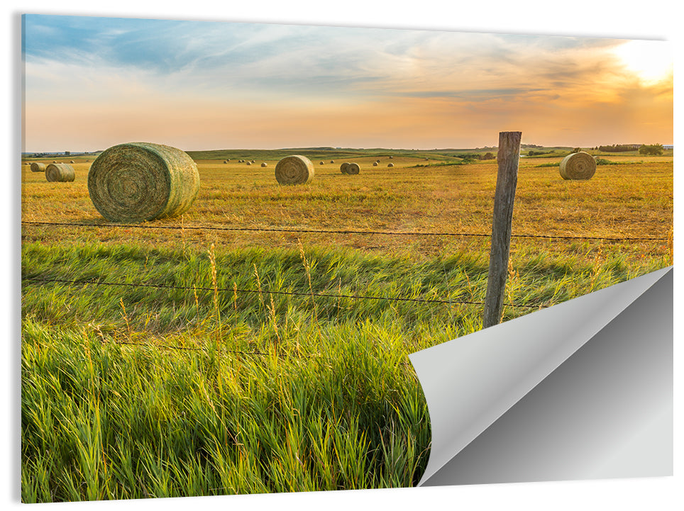 Hay Harvest Field Wall Art