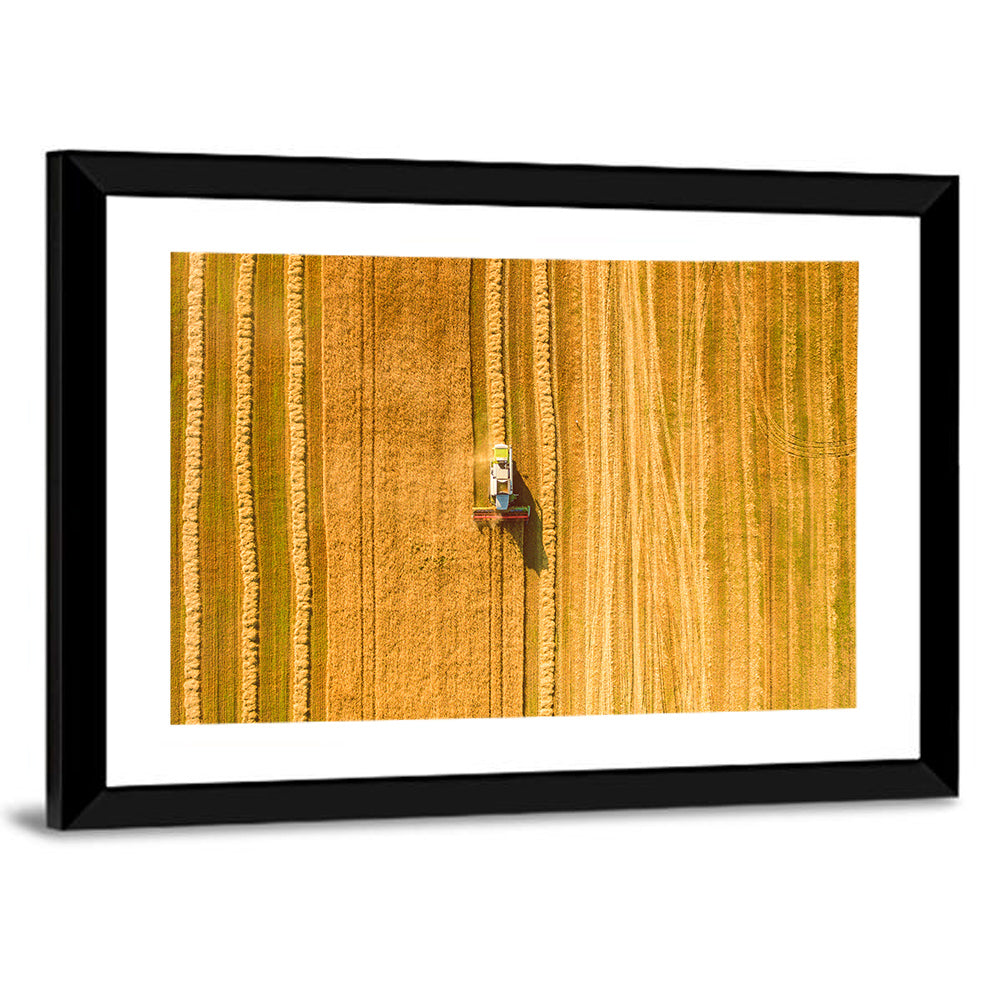 Wheat Field Harvesting Wall Art