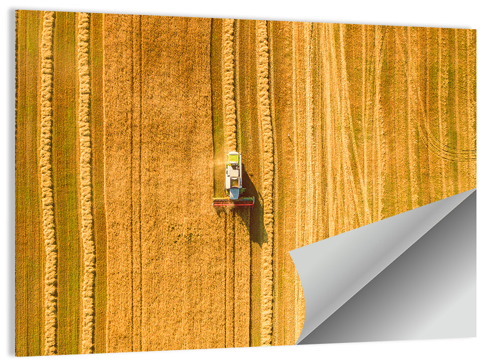 Wheat Field Harvesting Wall Art