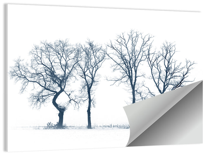 Four Bare Trees in Winter Wall Art as a poster print