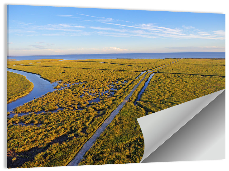 Delaware Bay Wall Art