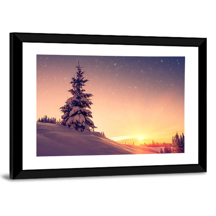Snowy Sunset with Conifer Wall Art as a framed print