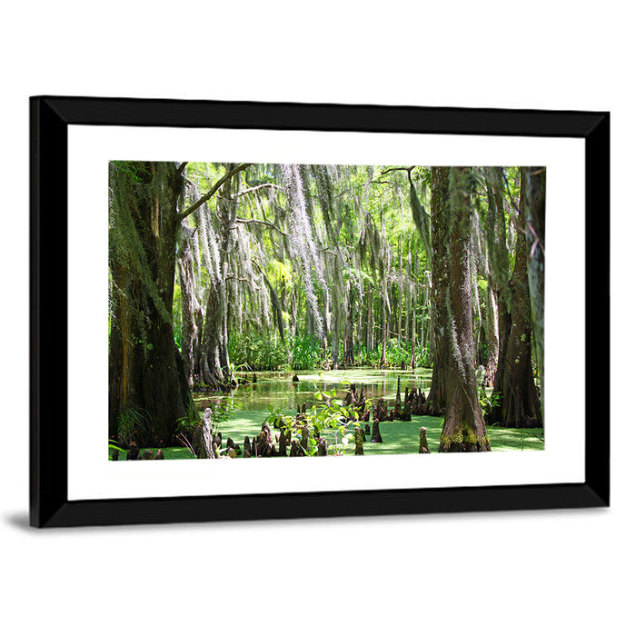 Louisiana Cypress Swamp Wall Art as a framed print