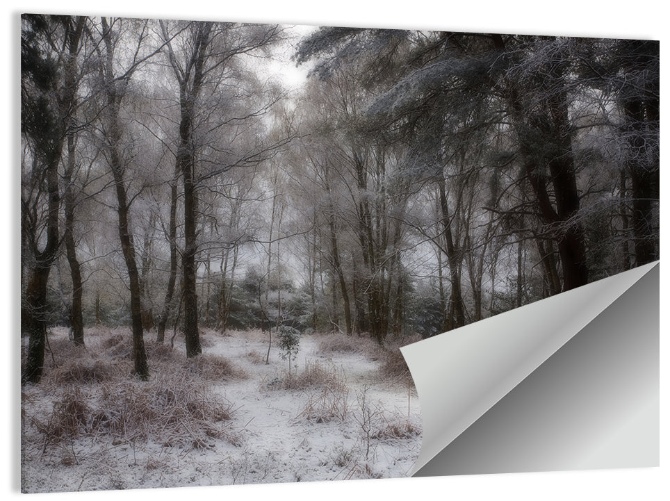New Forest Winter Path Wall Art, poster print, landscape