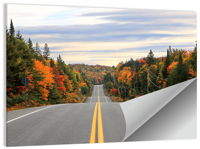 Algonquin Park Road Wall Art as a poster print